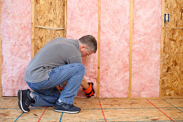 Best Local Insulation Services  in Rockwell City, IA